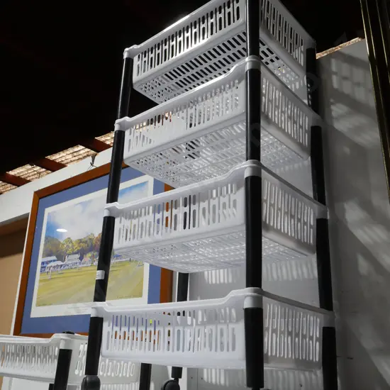 2 plastic racks