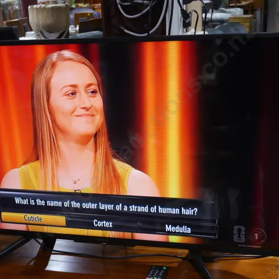 Sony 43in smart tv
