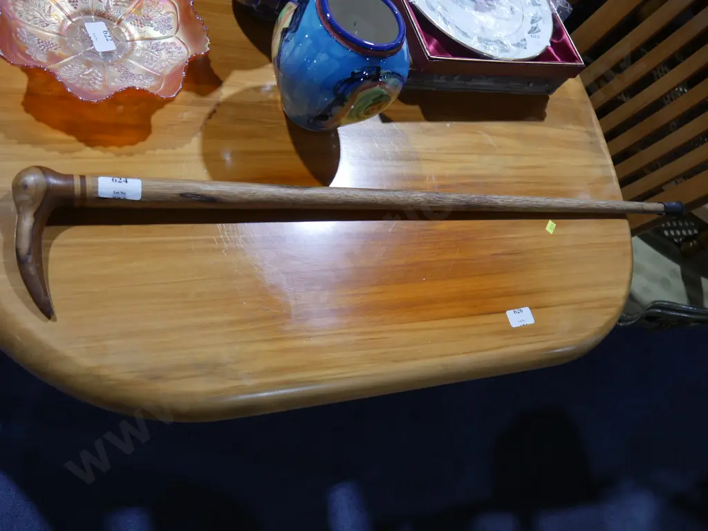 Walking stick Image 1++