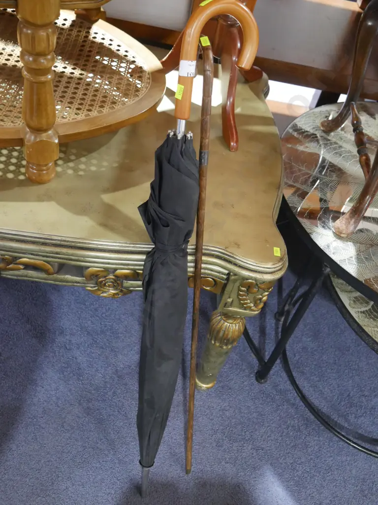 Umbrella and walking stick Image 1++