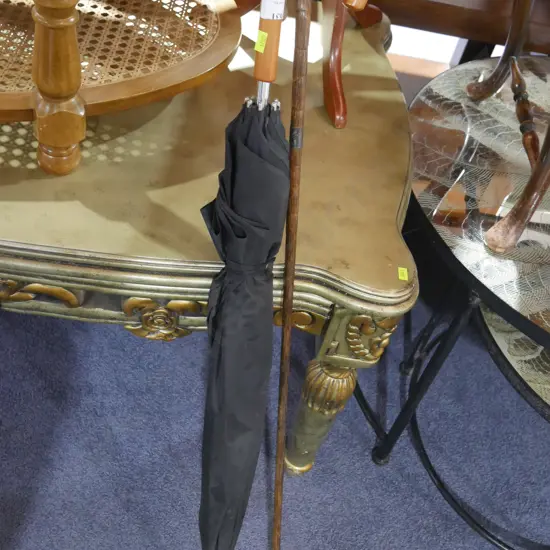Umbrella and walking stick