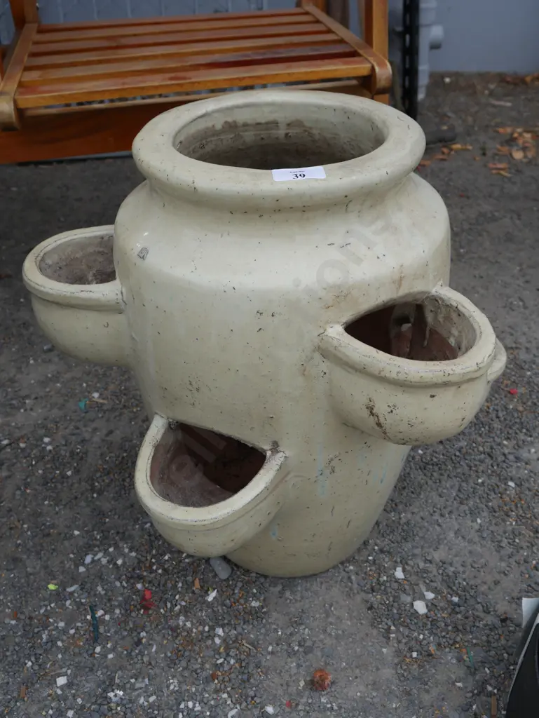 Strawberry pot Image 1++