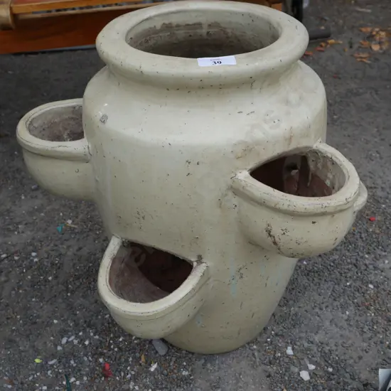 Strawberry pot