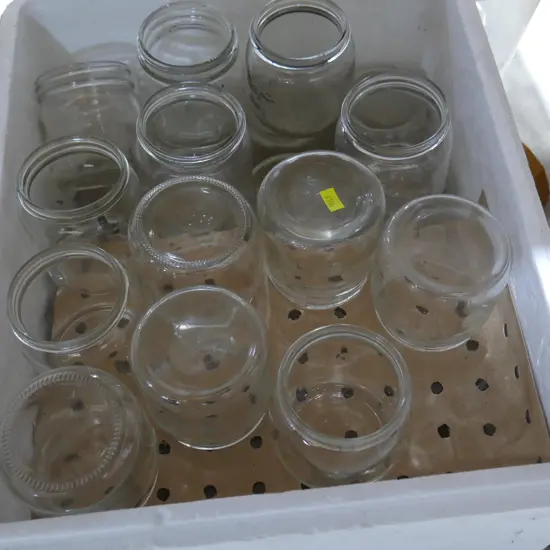 Preserving jars