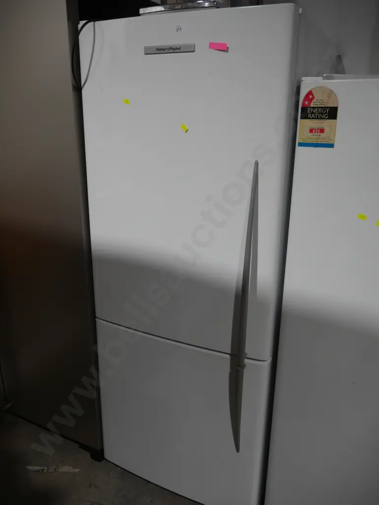 Fisher and Paykel fridge freezer Image 1++