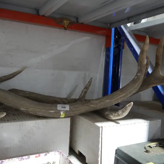 Antlers