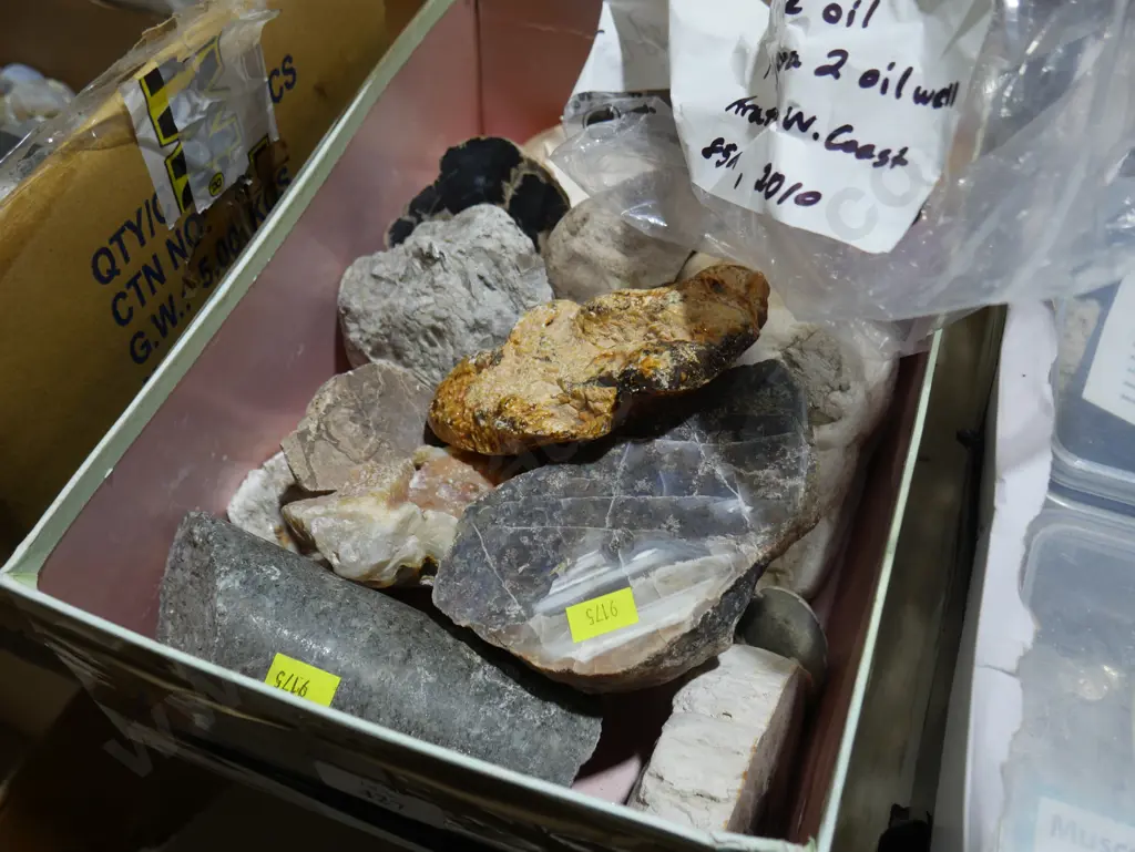 Rocks gum Image 1++