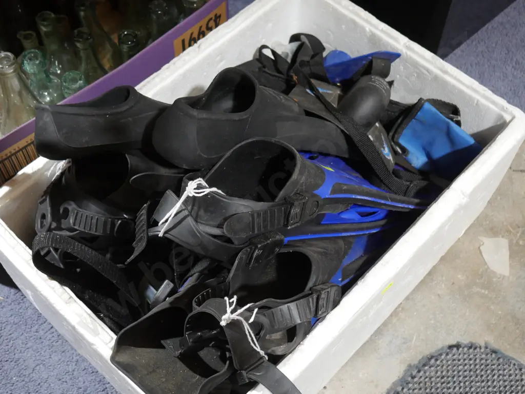 Flippers Image 1++