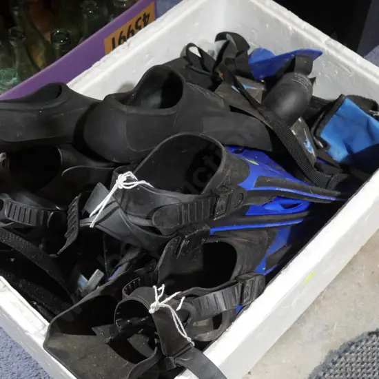 Flippers