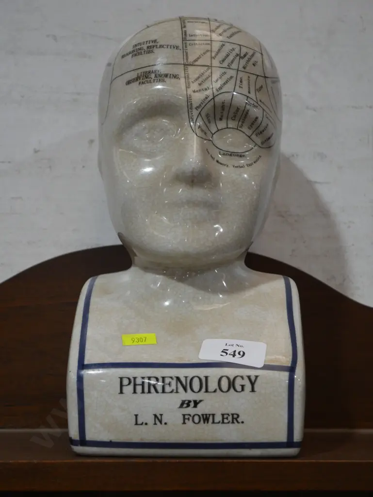 Phrenology head Image 1++