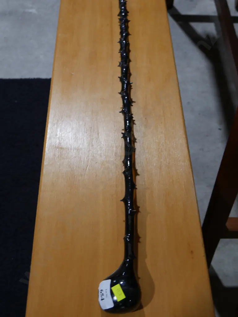 Walking stick Image 1++