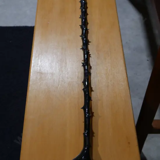 Walking stick