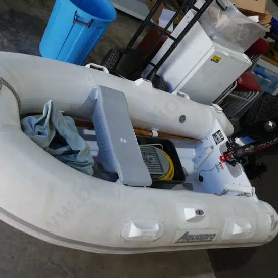 Aquapro Inflatable boat with Mercury outboard motor