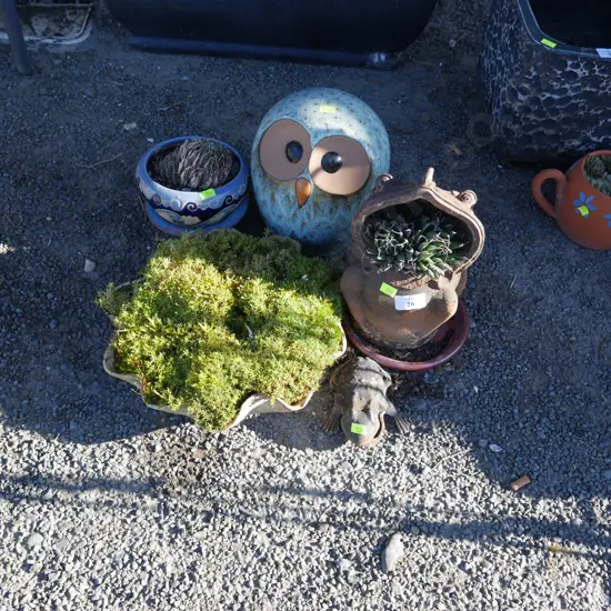 Plants, owl and frog ornaments
