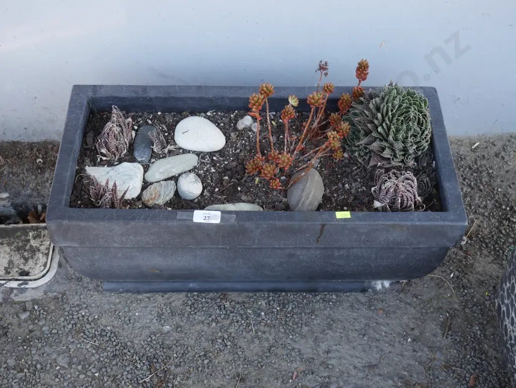 Plant trough Image 1++