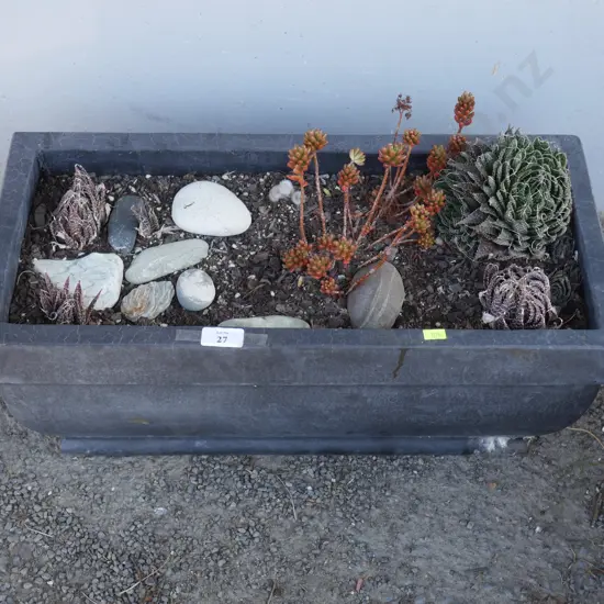 Plant trough