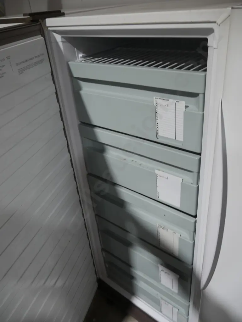 Frigidaire freezer Image 1++