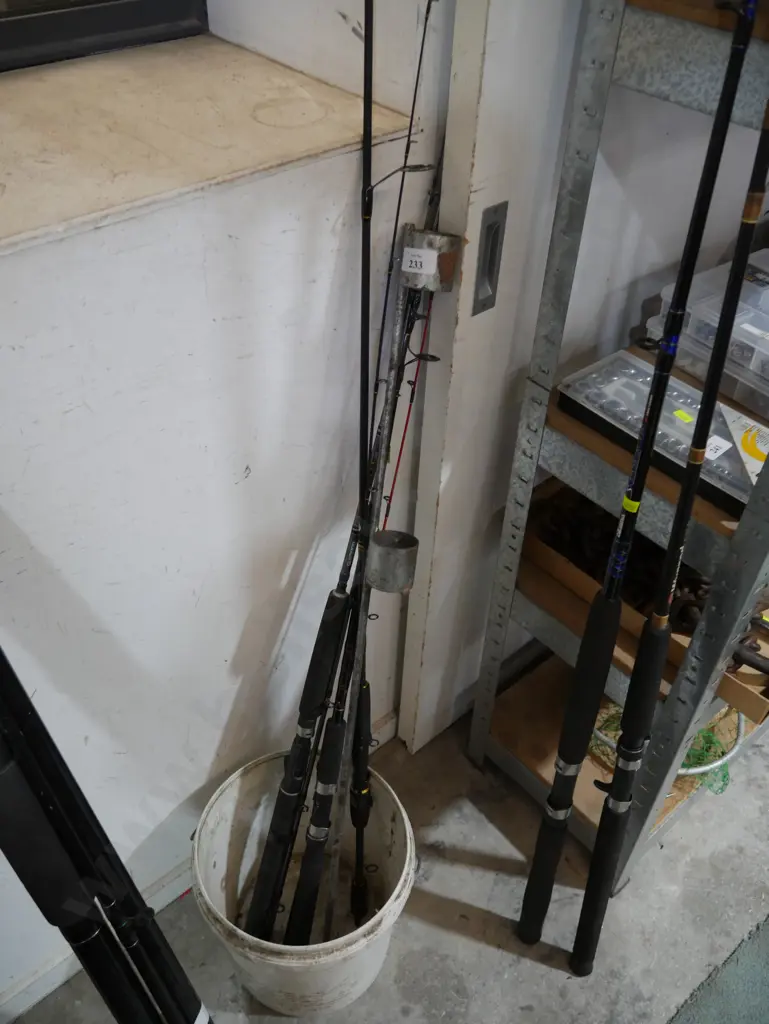 Fishing rods and rod holder Image 1++