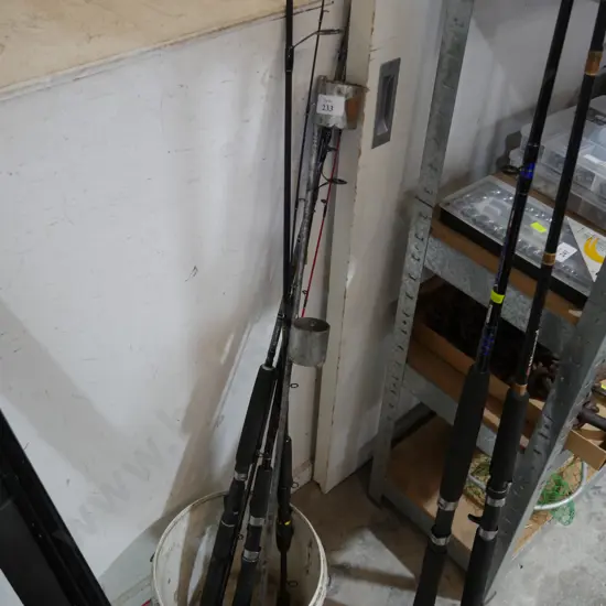 Fishing rods and rod holder