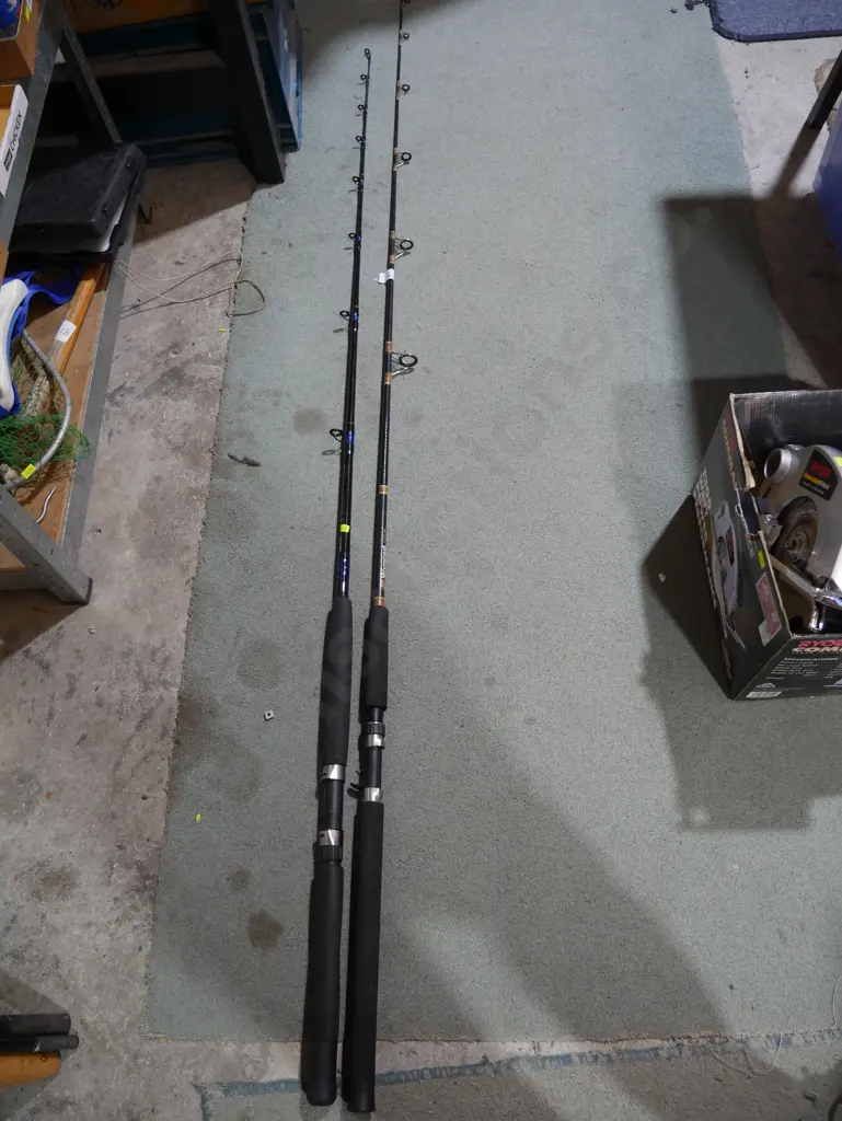 Two fishing rods Image 1++