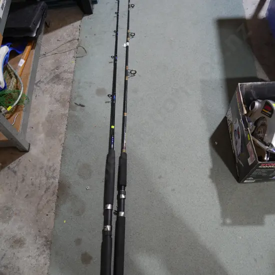 Two fishing rods