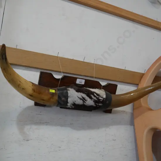 Mounted horns