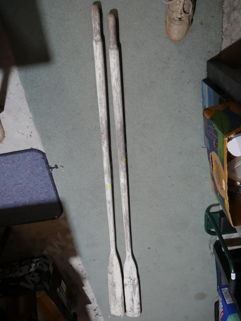 Pair of oars Image 1++