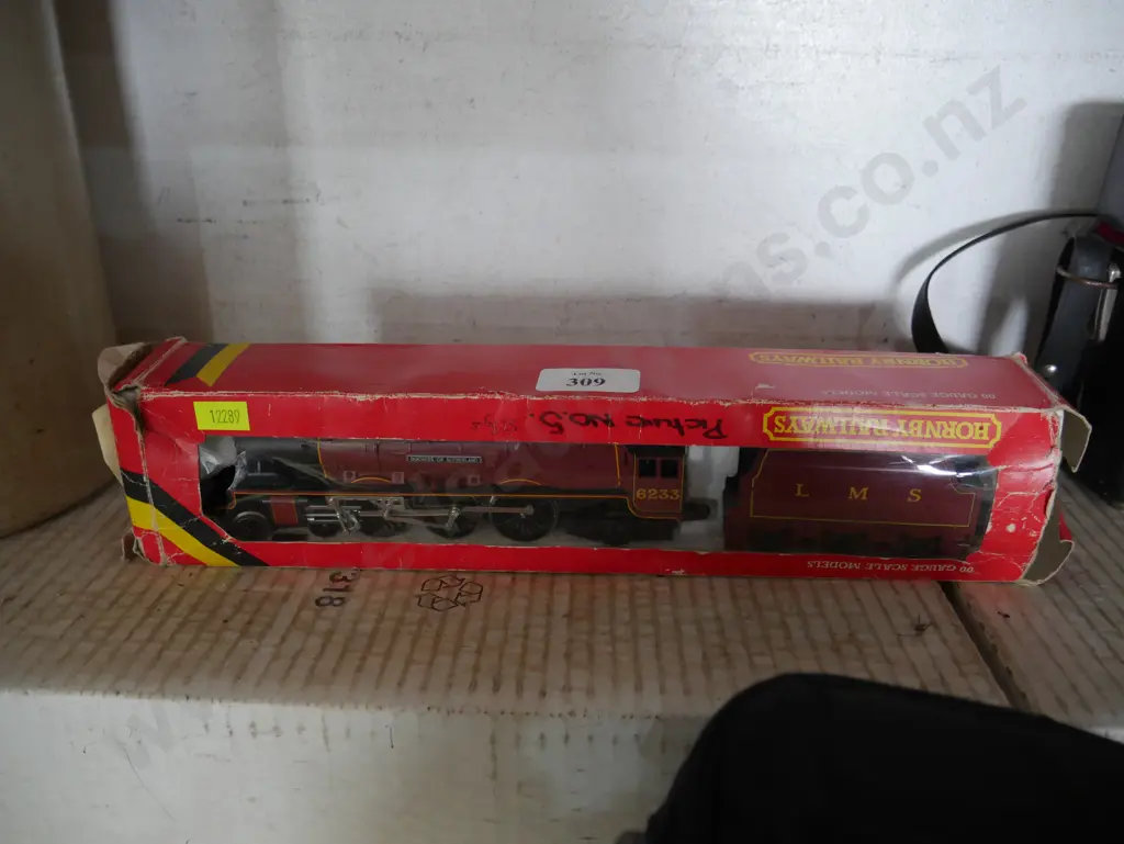 Hornby loco Princess of Sutherland Image 1++