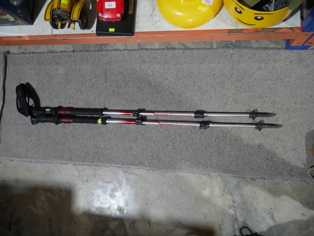 Tramping poles Image 1++