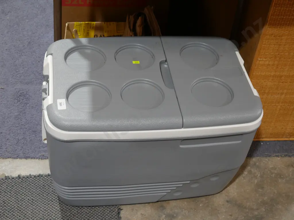 Chilly bin Image 1++