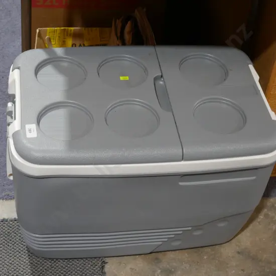 Chilly bin