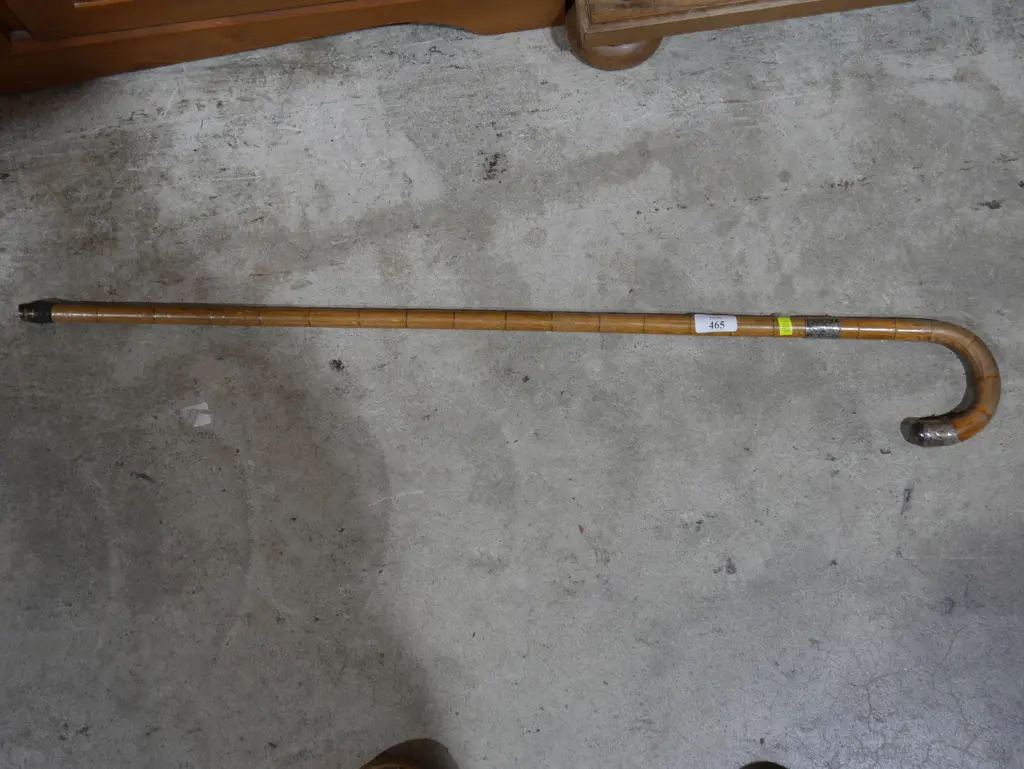 Walking stick with silver Image 1++