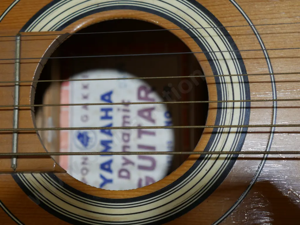 Guitar Image 1++