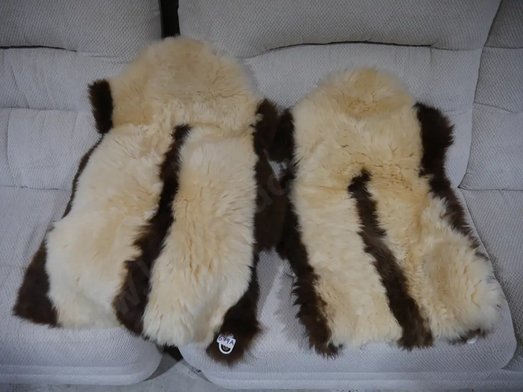 Two sheepskin rugs Image 1++