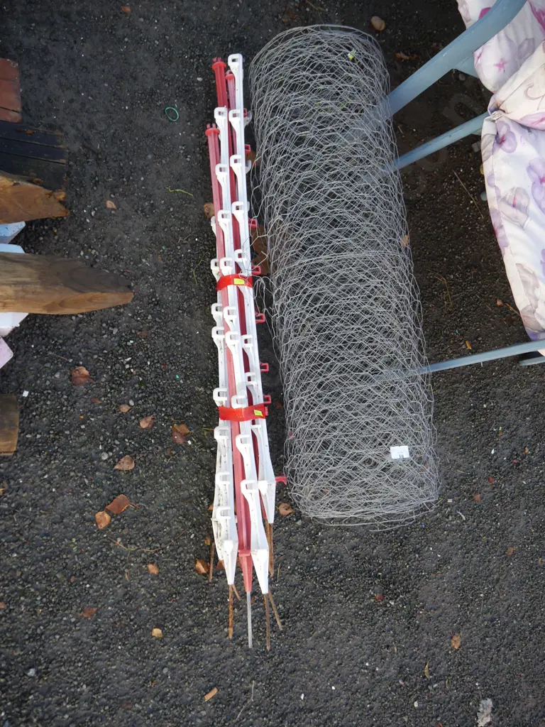 Chicken wire and plastic Waratahs Image 1++
