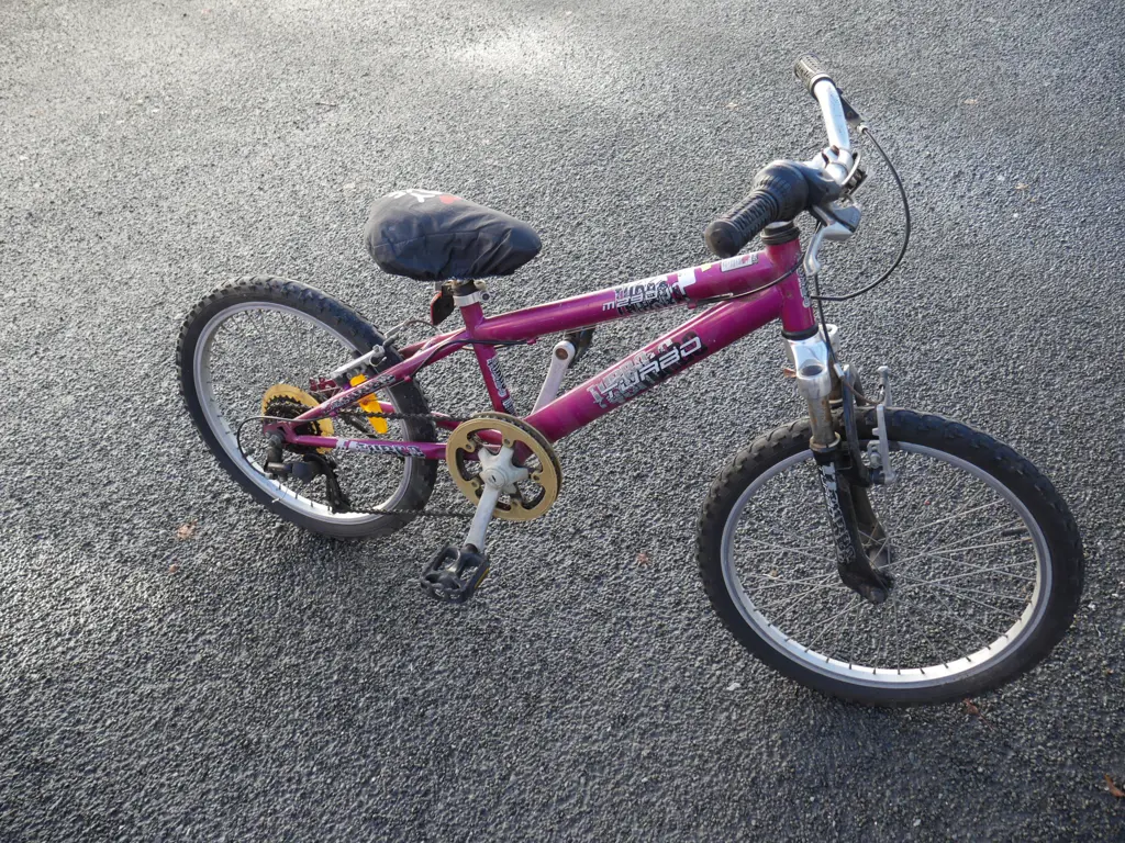 Kids BMX Image 1++