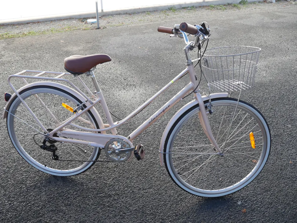 Ladies bike Image 1++
