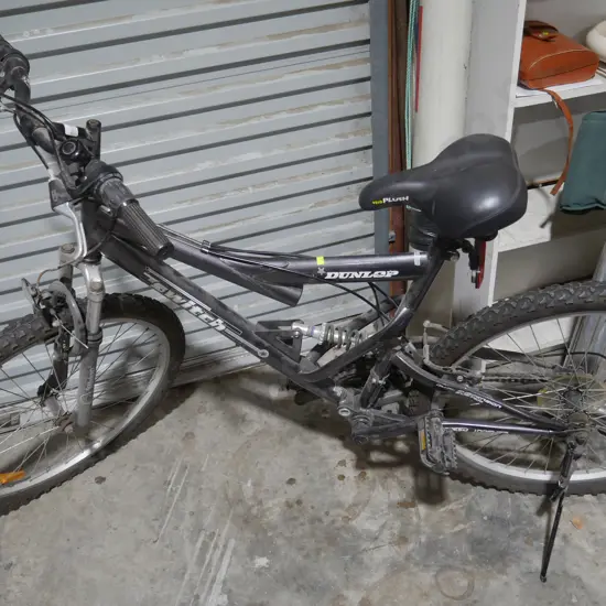 Dunlop mountain bike