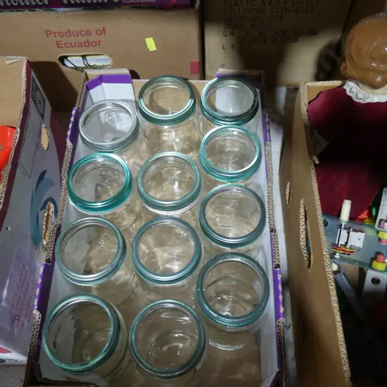 Agee preservers
