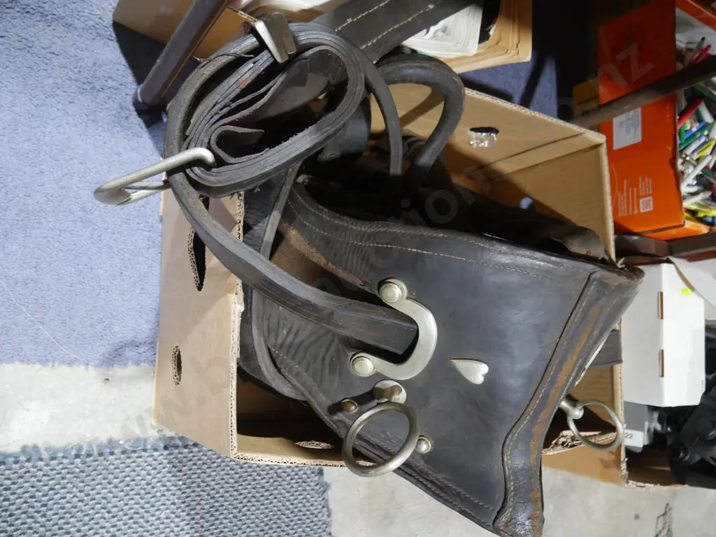 Horse gear Image 1++