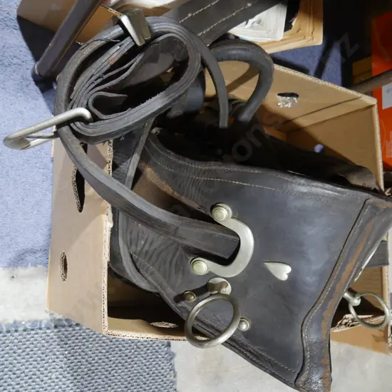 Horse gear