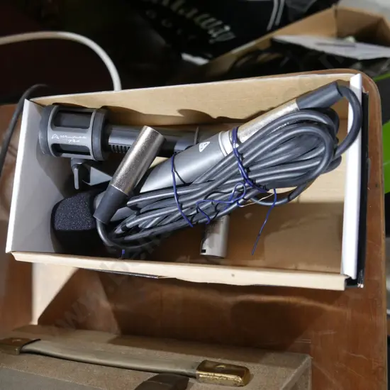Microphone