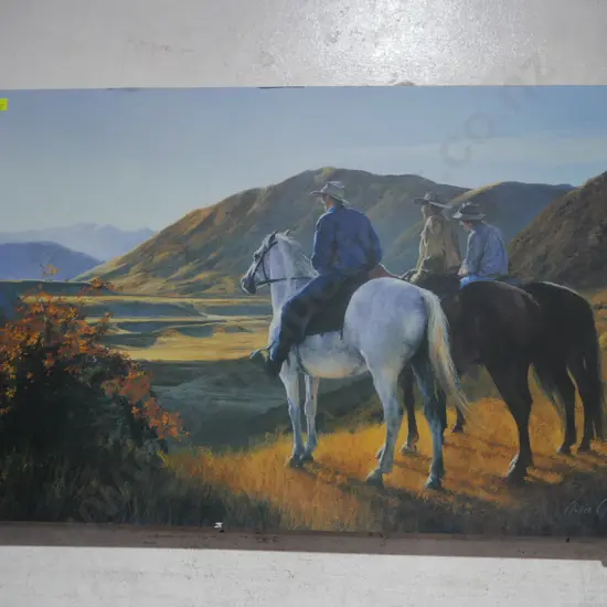 Horse picture