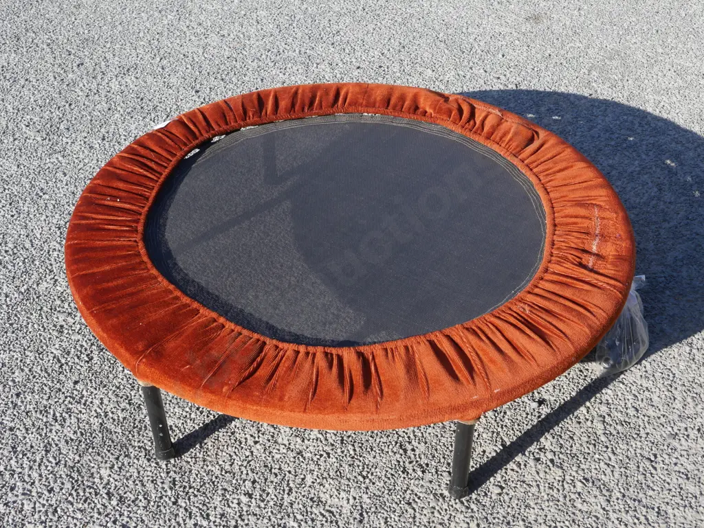 Mini trampoline Image 1++