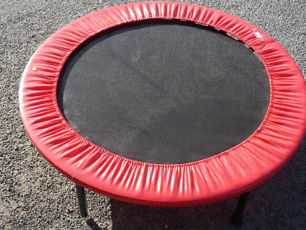 Mini trampoline Image 1++