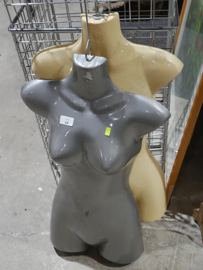 2 plastic torso mannequins Image 1++