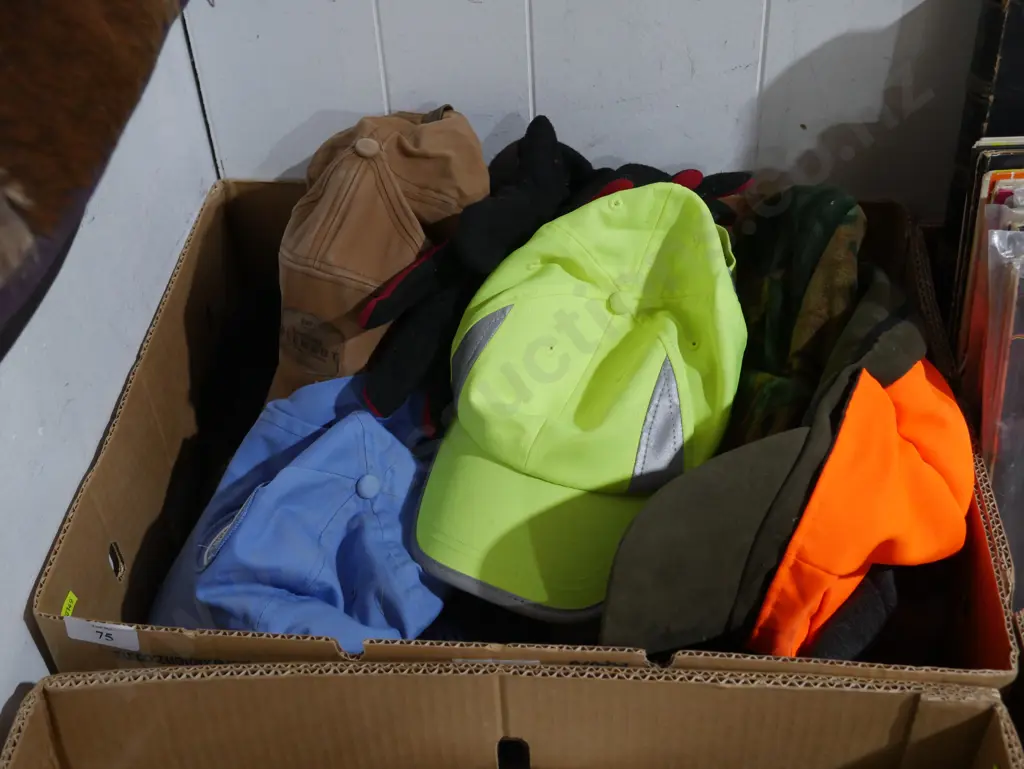 Box of hats Image 1++
