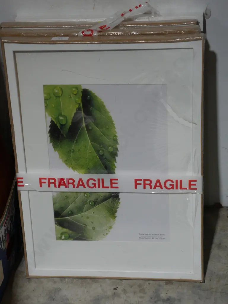 Photo frames Image 1++