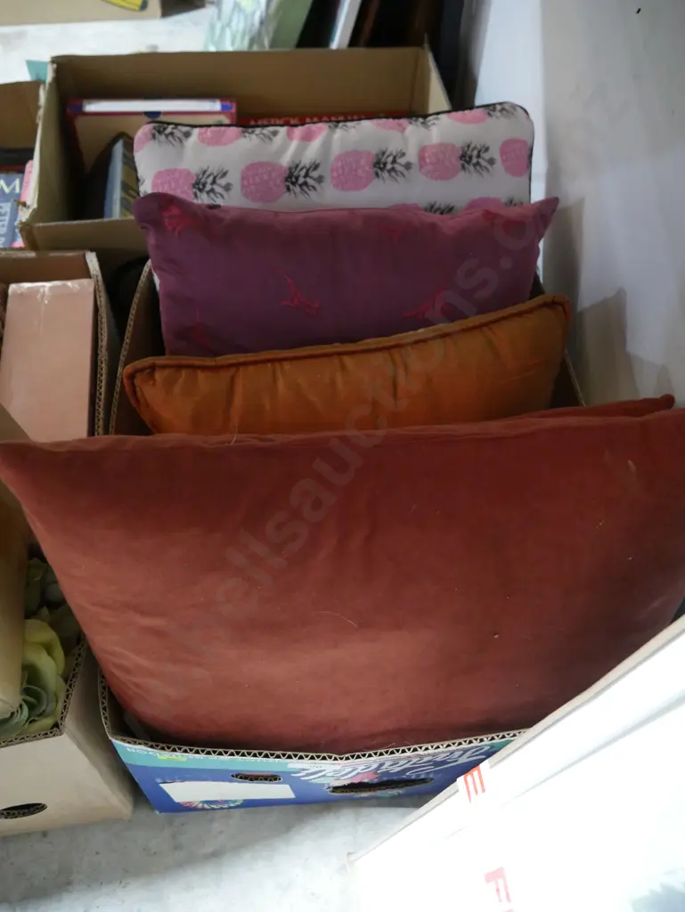 Cushions Image 1++