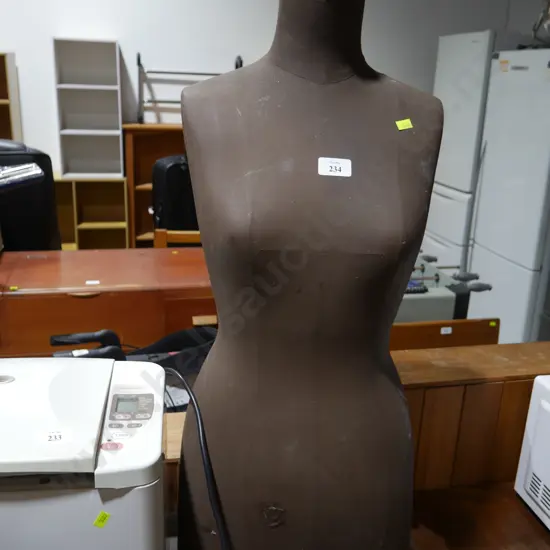 Torso mannequin